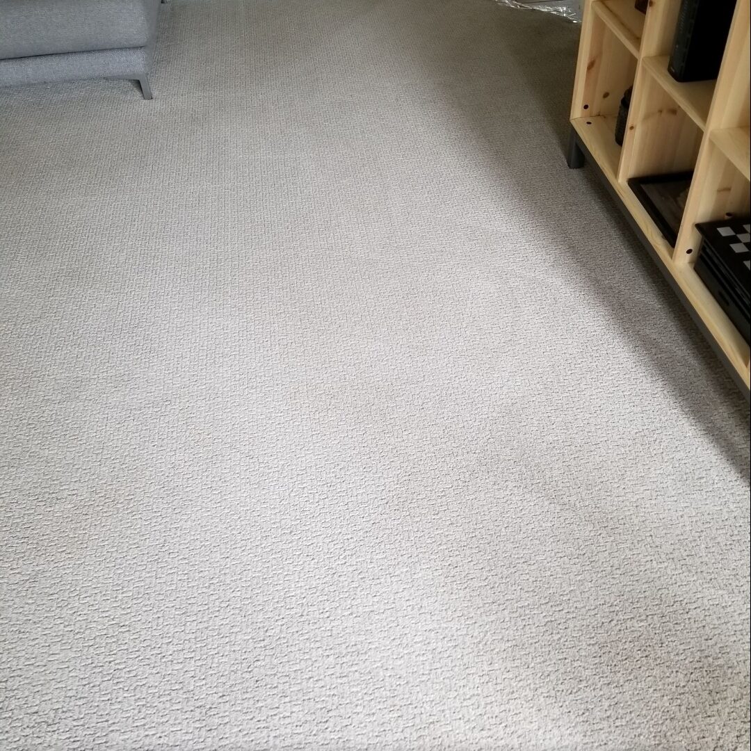 A living room with a carpet that has been cleaned.